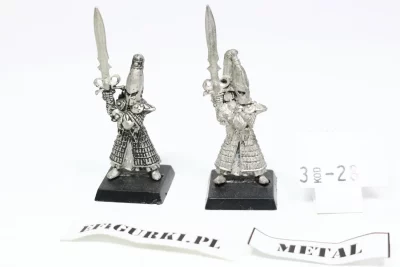 Sword Master Of hoeth. Metal 3-28