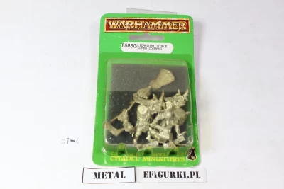 Lizardmen Temple Guard Command. Metal $1-4