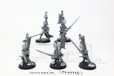 Vanari Bladelords. Lumineth Realm-lords 5-36