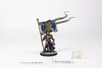 Knight-Vexillor with Banner of Apotheosis
