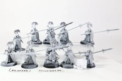 Vanari Auralan Wardens Lumineth. 5-34