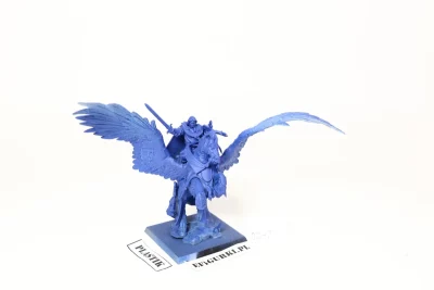 Lord on Royal Pegasus. Bretonnia 08-7X
