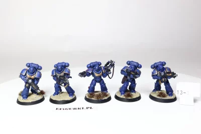 Primarines intercessor. 13-8