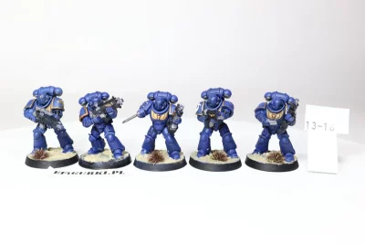 Primarines intercessor. 13-16