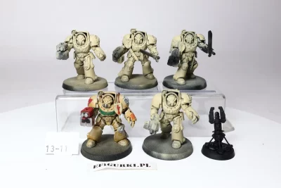 Dark Angels Terminator Squad. 13-11