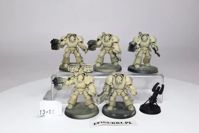 Dark Angels Terminator Squad. 13-18