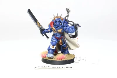 Captain in Gravis Armour. 13-1X