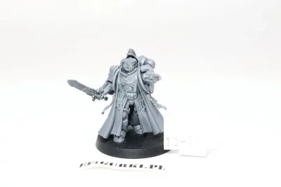 Primaris Librarian. 13-1X
