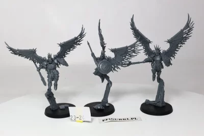 Prosecutors SCE. 23-24