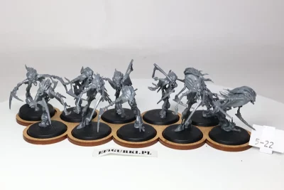 Dreadscythe Harridans Nighthaunt. 5-22