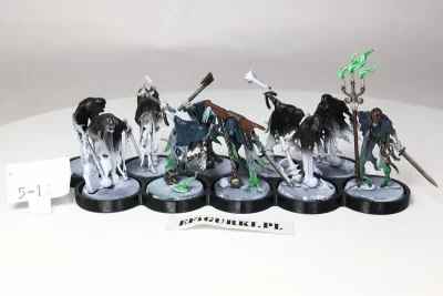 Chainrasp Hordes Nighthaunt. 5-13