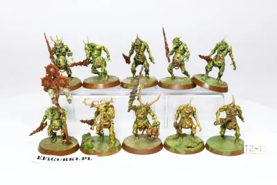 Plaguebearers Nurgle. 12-15