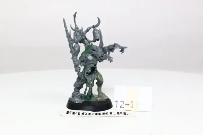 Poxbringer Nurgle. 12-19