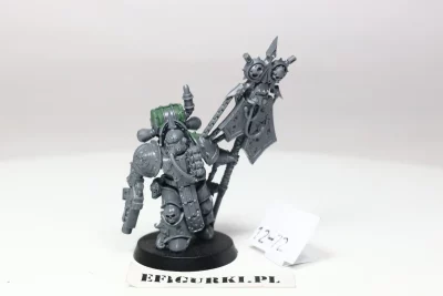 Plague Marine Icon bearer. 12-72