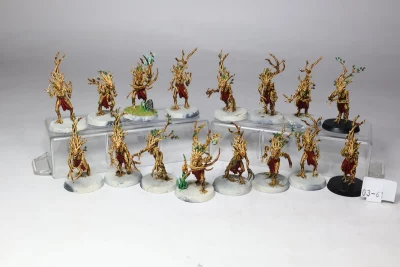 Drayad Wood Elf. 3-61