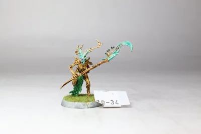 Branchwych Wood Elf Sylvaneth. 3-34