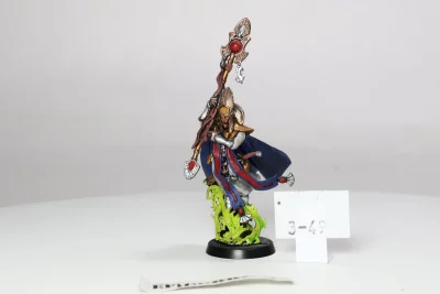 IOB Mage High Elf. 3-49