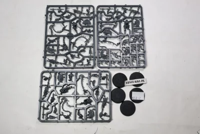 Hearthguard Berzerkers Fyreslayers. $12-2