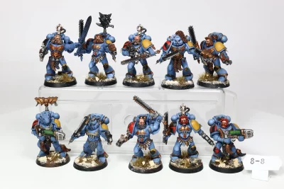 Blood Claw Space Wolves. Firstborn 8-8 U1