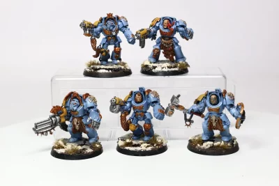 Wolf Guard Terminators. 8-40 U1
