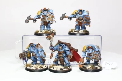Wolf Guard Terminators. 8-12 U1