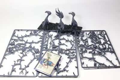 W’adrhŭn: Raptor Riders. 17-4 U4