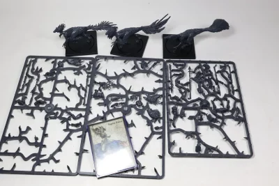 W’adrhŭn: Raptor Riders. 17-2 U4