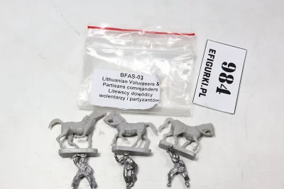 Litewskie dowództwo Wolentarzy i Partyzantów OIM. Metal 984