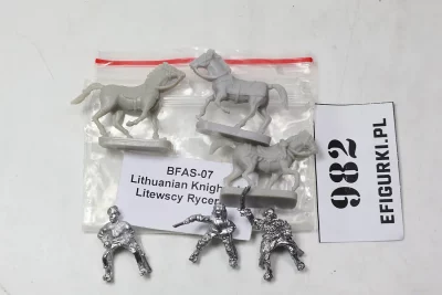 Litewscy rycerze OIM Metal. 982
