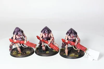 Hive Guard Tyranid. Plastik 10-10 U23