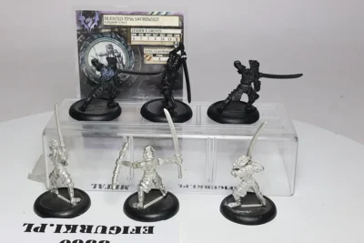 Blighted Nyss Swordsmen