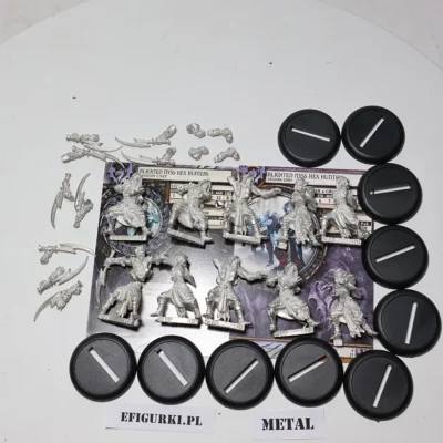 Blighted Nyss Hex Hunters. Metal Lt 28-4