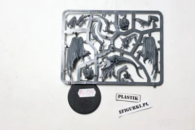 Winged prime Tyranids. Plastik P4-25 U38