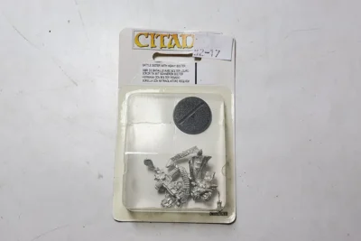 Battle Sister H.Bolter Metal. lt2-17