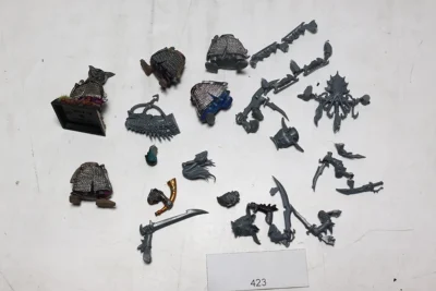 Dark Elf Warriors bitsy Plastik. 423