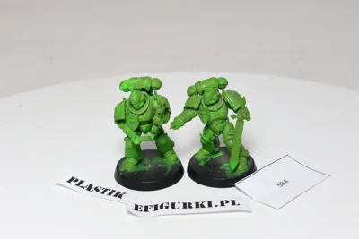 Primarines Dark angels upgrade Pack. 584