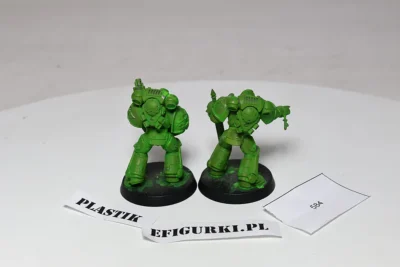 Primarines Dark angels upgrade Pack. 584