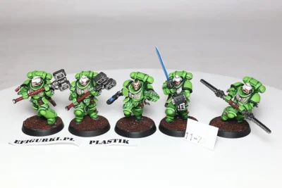 Assault Intercessors Plastik. 11-73 TT+