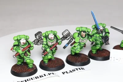 Assault Intercessors Plastik. 11-73 TT+