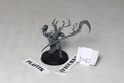 Branchwych. Plastik 5-43 u49