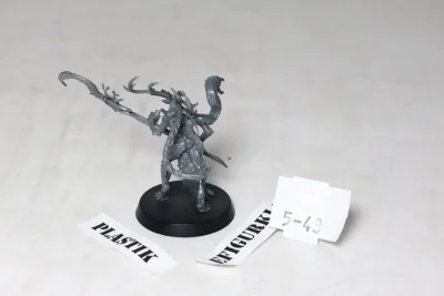 Branchwych. Plastik 5-43