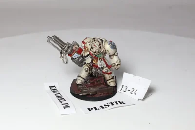 Dark Angels Teminator. Plastik 13-24